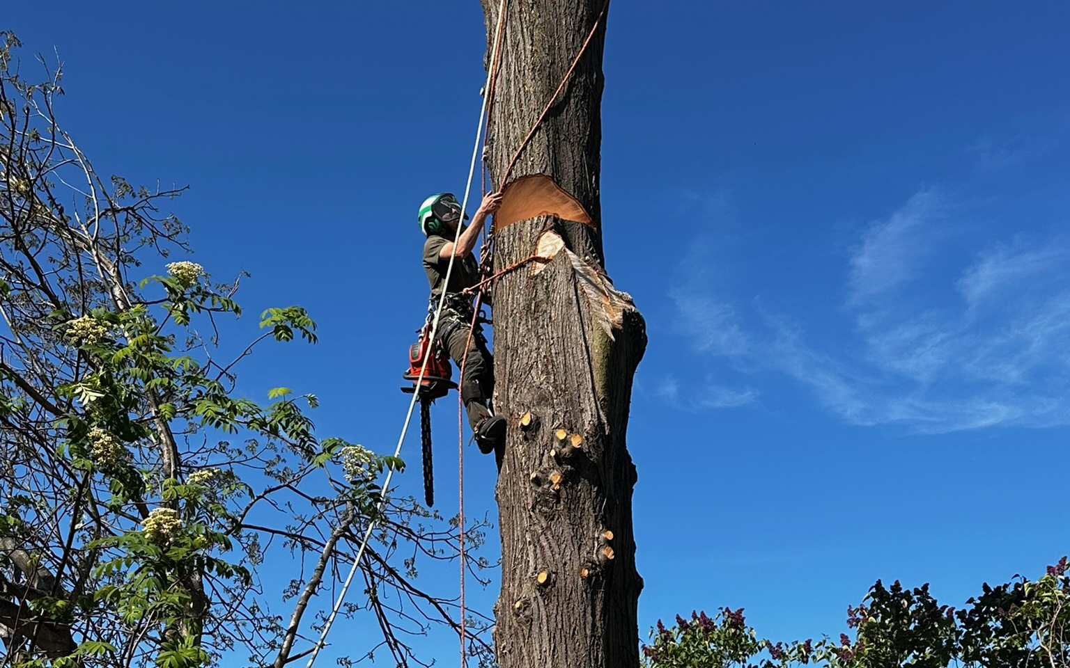 Baumabtragung an einem Gebäude