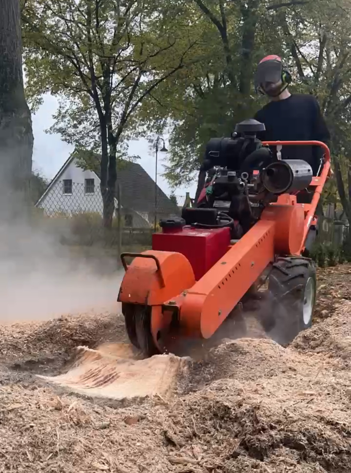 Stubbenfräse bei der Arbeit am Wurzelstock